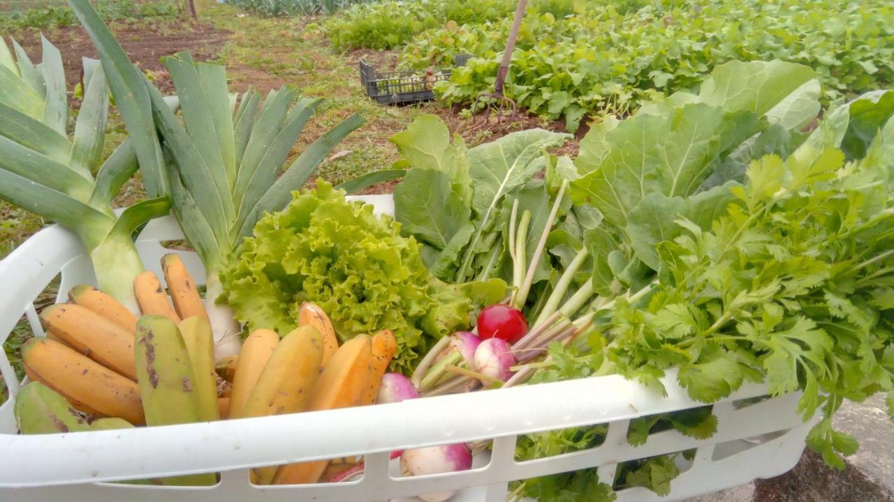 Casa L&M Apartment Lajes das Flores ภายนอก รูปภาพ
